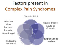factors-present-in-complex-pain-syndromes