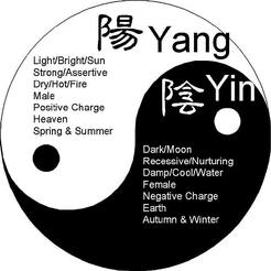 Yin & Yang qualities